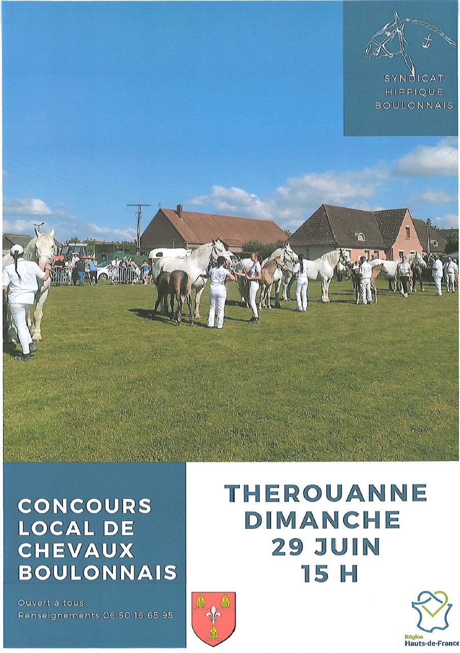 Concours de chevaux 