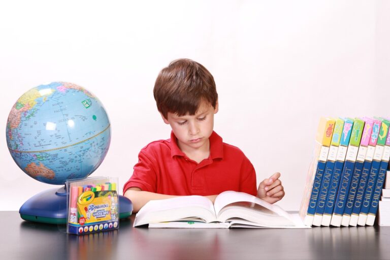 boy, reading, studying, books, children, young, small, kids, education, looking down, table, wooden, brown, desk, study, materials, globe, schools, inside, homes, indoors, rooms, studying, education, education, education, education, study, study, study, study, study